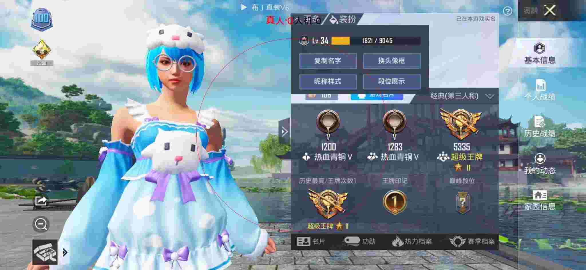 和平精英布丁直装透视 - 和平精英-和平辅助卡通手绘图高清辅助预览图